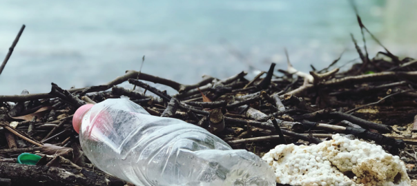Tek Kullanımlık Plastikten Korunmanın 5 Yolu