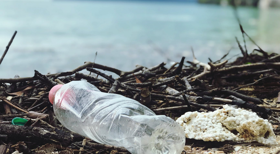 Tek Kullanımlık Plastikten Korunmanın 5 Yolu