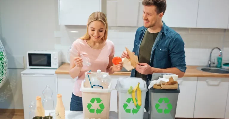 Geri Dönüşümü Basit Hale Getirmek